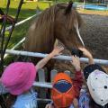 resized_IMG_3772