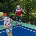 resized_IMG_3845