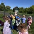 resized_IMG_7574