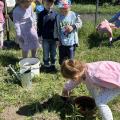 resized_IMG_7576