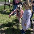 resized_IMG_7584