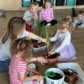 resized_IMG_7868