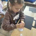 resized_IMG_7552