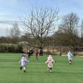 resized_IMG_6724