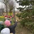 resized_IMG_4506