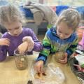 resized_IMG_7239