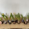 resized_IMG_7251