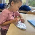 resized_IMG_3790