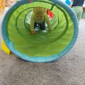 resized_PHOTO-2024-04-21-19-49-562