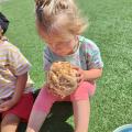 resized_IMG_20220712_105937