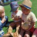 resized_IMG_20220712_110112